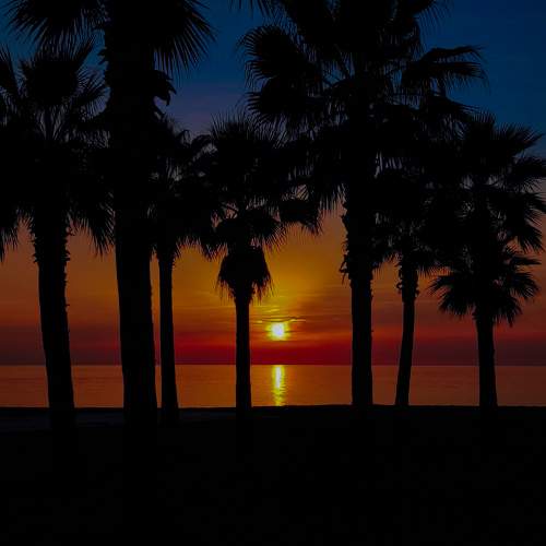 Photo #11448618