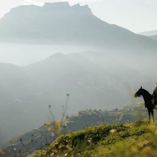 Photo #11448646
