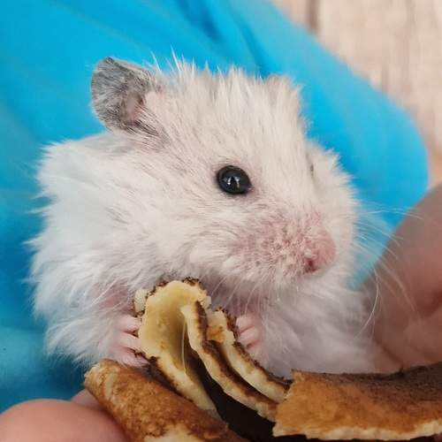 Photo #11448976