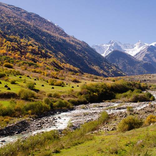 Photo #11449195