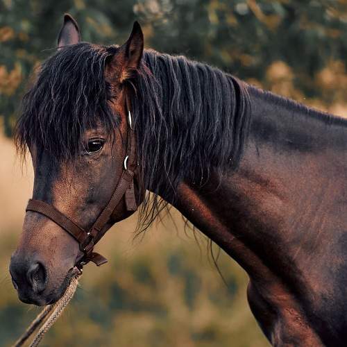 Фотография #11449381