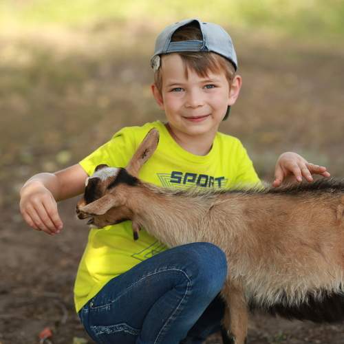 Photo #11449576