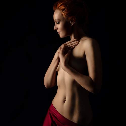 Photo #11449587