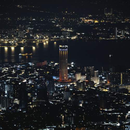 Photo #11449665