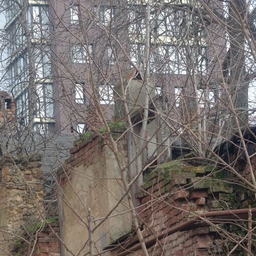 Photo #11449872