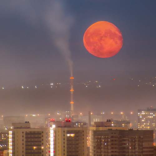 Photo #11449875