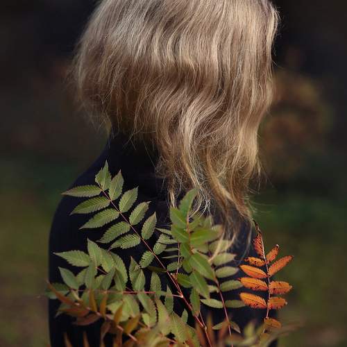 Фотография #11449973