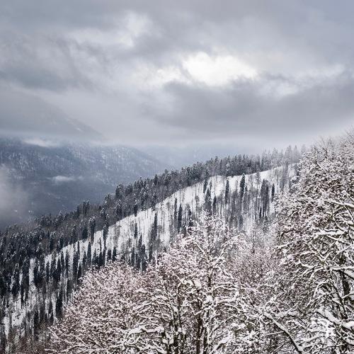 Photo #1149382