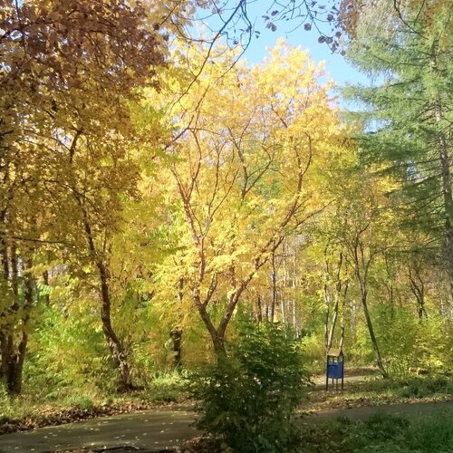 Photo #1149956