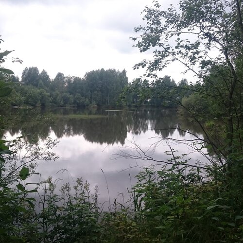 Photo #1149973