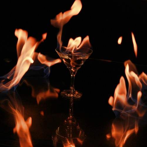 Photo #11450183