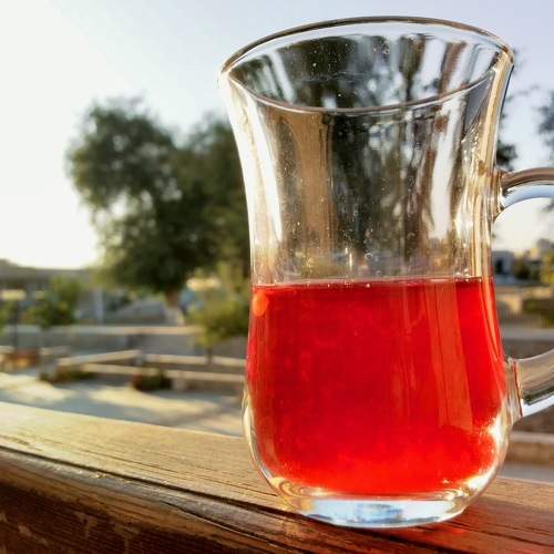 Photo #11450366
