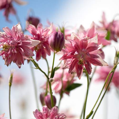 Photo #11450544