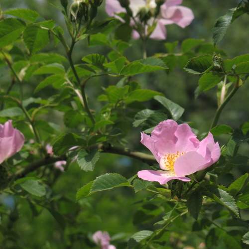 Photo #11450631