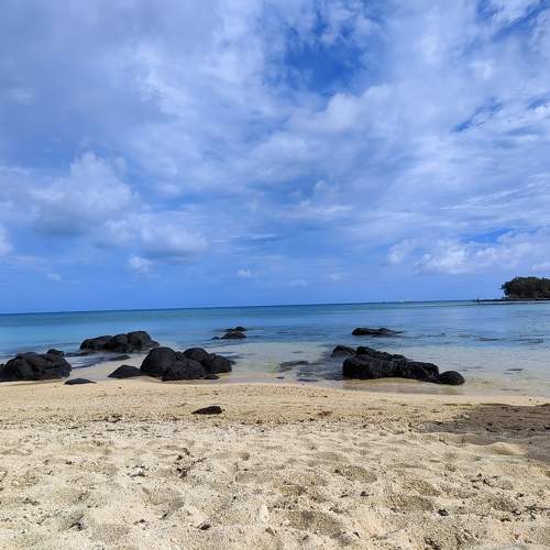 Photo #11450786