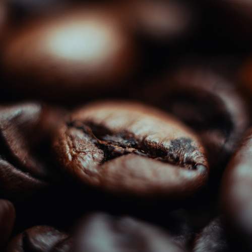 Photo #11451010