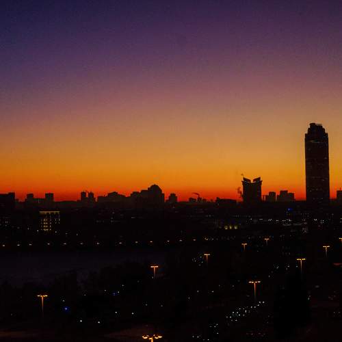 Photo #11451012