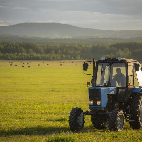 Фотография #11451066