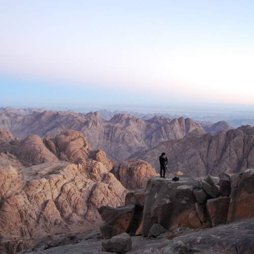 Photo #11451104