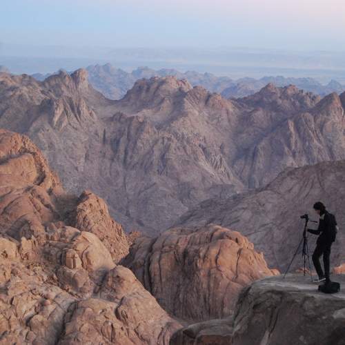 Photo #11451108