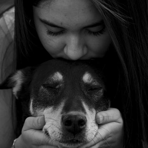 Photo #11451282