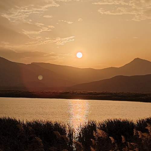 Photo #11451313