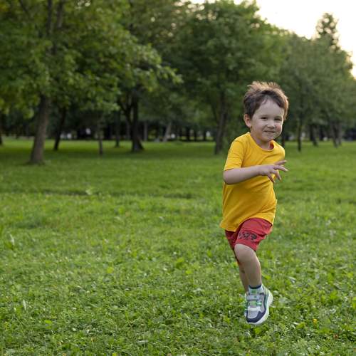 Photo #11451318