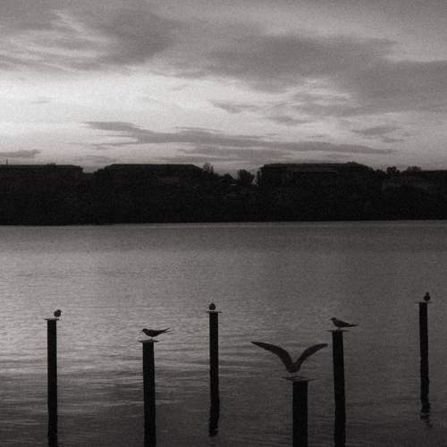 Photo #11451436
