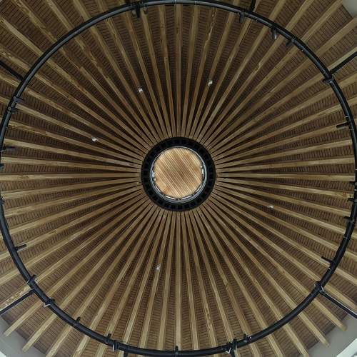 Photo #11451438