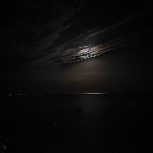 Photo #11451623