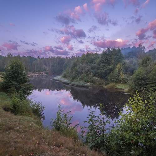 Photo #11451827
