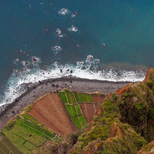 Фотография #11451884