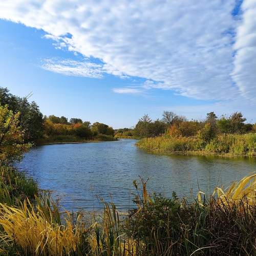 Photo #11451920