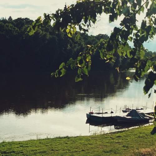 Photo #11452023