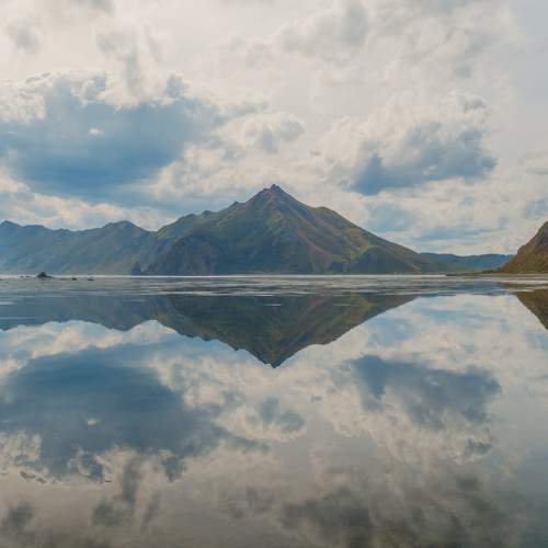 Photo #11452081