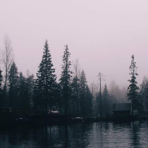 Photo #11452146