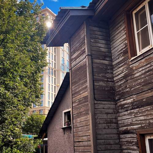 Photo #11452377
