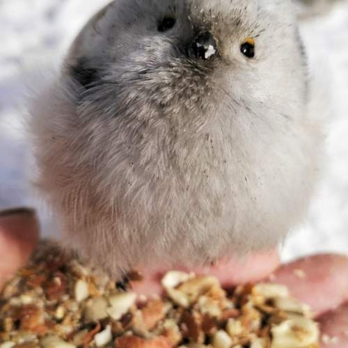 Photo #11452905