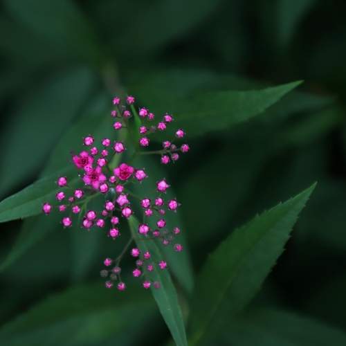 Photo #11453053