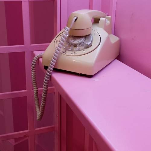 Photo #11453083