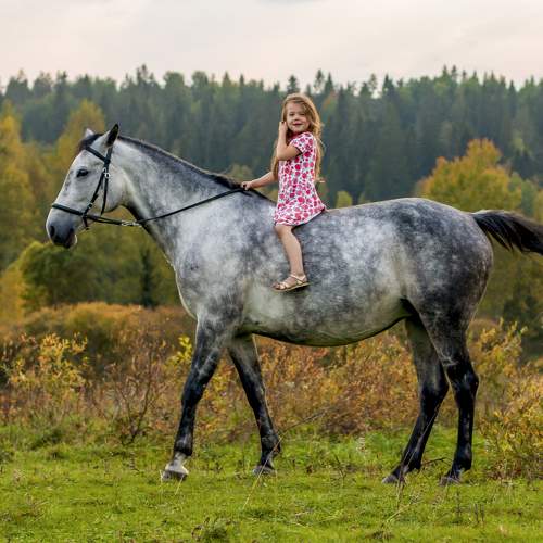 Photo #11453297
