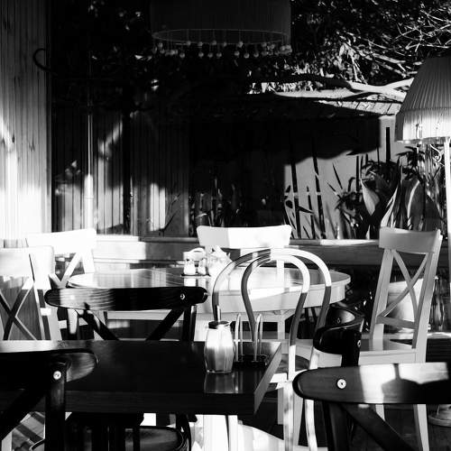 Photo #11453306