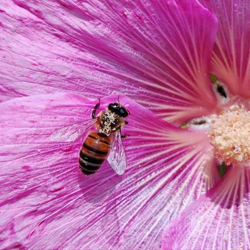 Photo #11453335