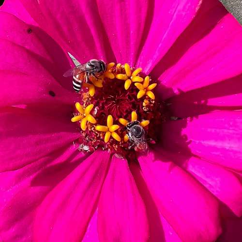 Photo #11453431