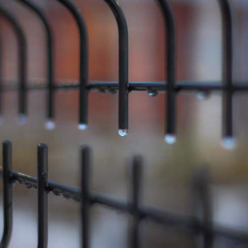 Photo #11454127