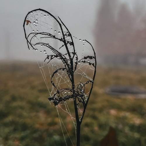 Photo #11454283