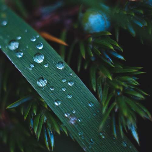 Photo #11454403
