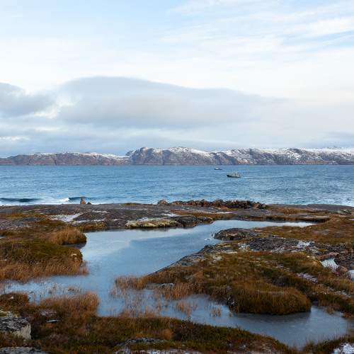Photo #11454428