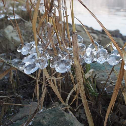Photo #11455365