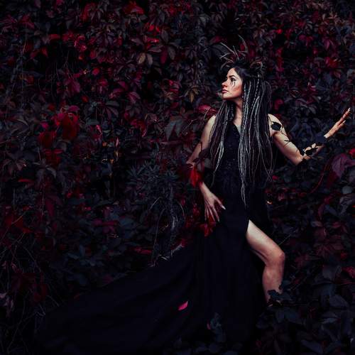 Photo #11455829